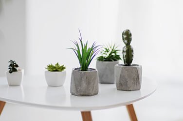 blog-1