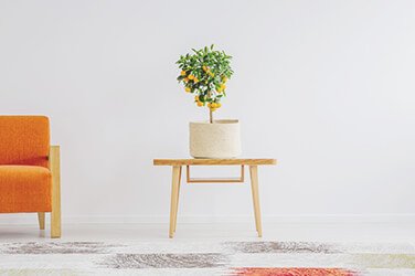 blog-6